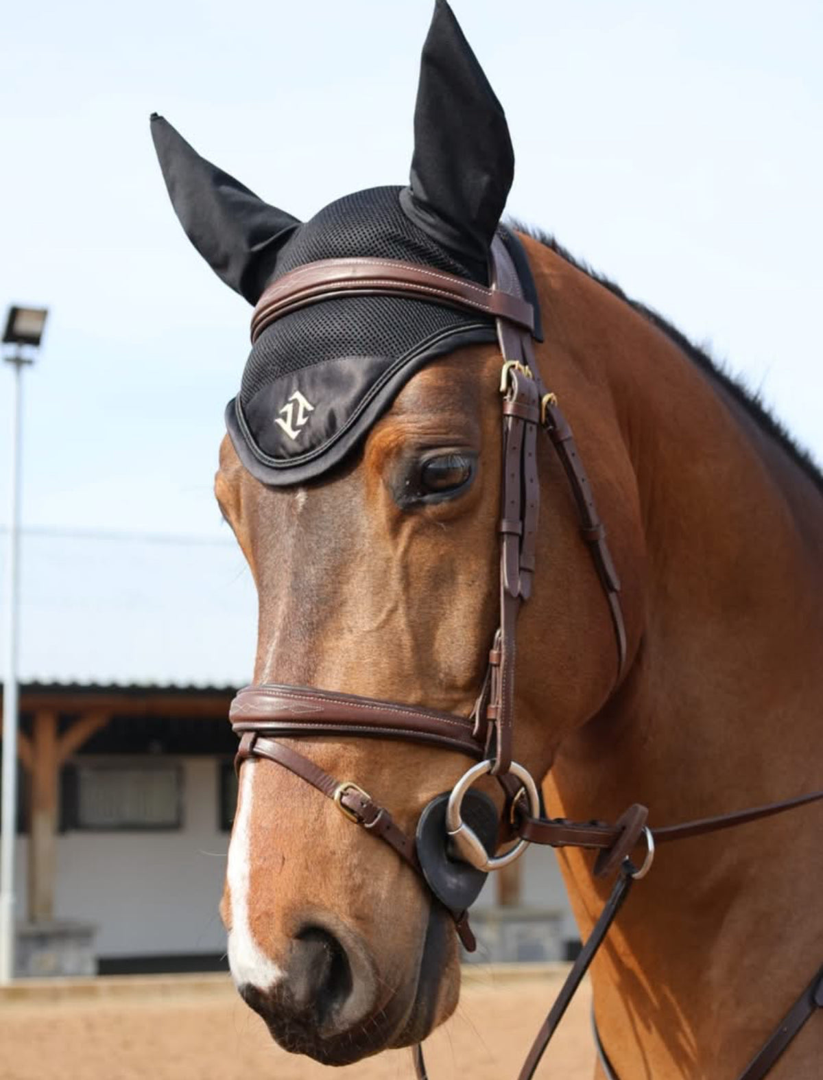 Tesoro Grazia Bridle with reins