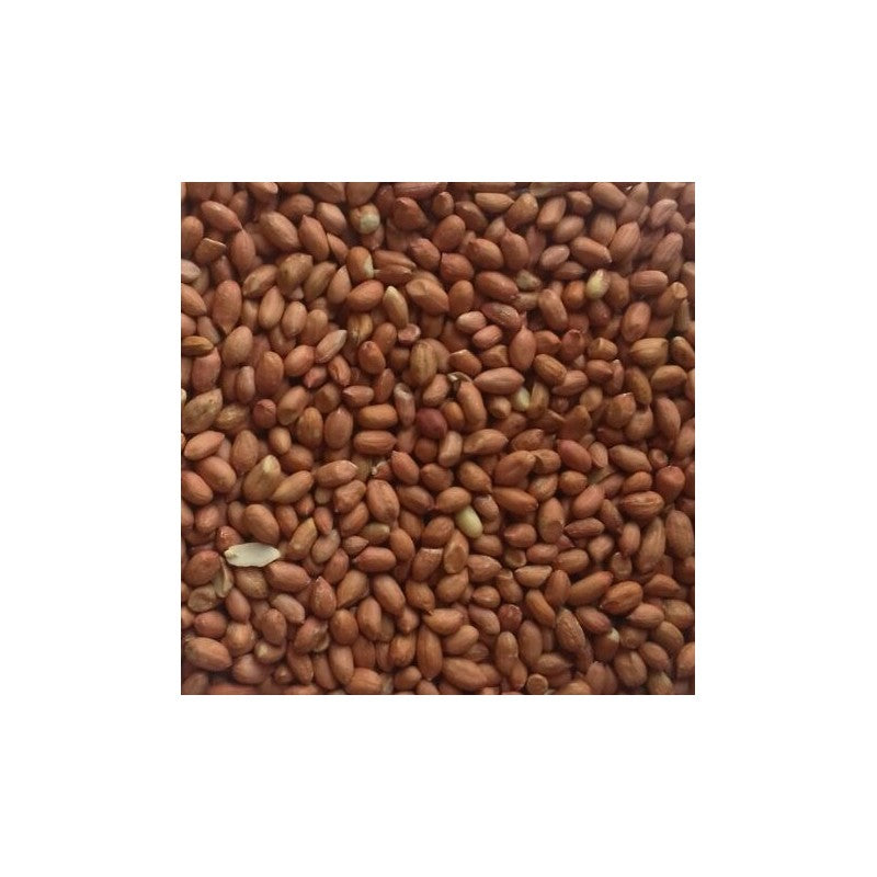 Peanuts Premium Wild Bird