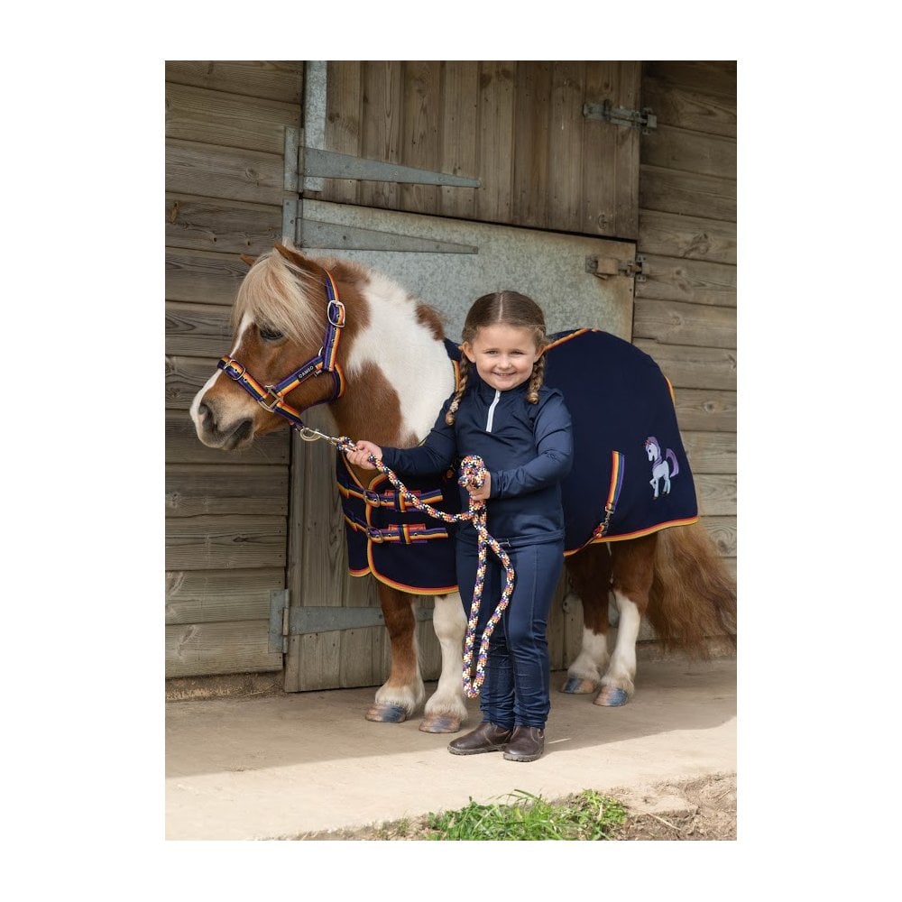 Rainbow Riders Fleece Rug