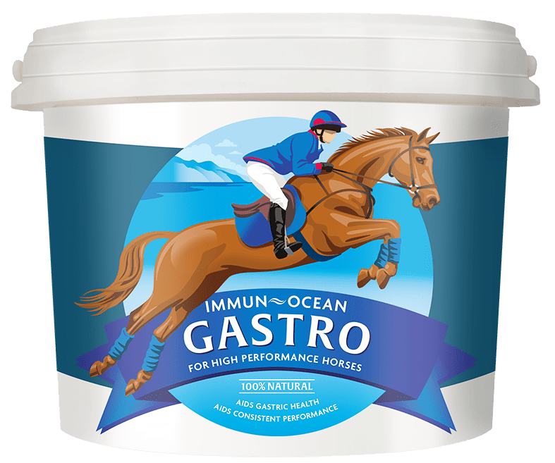 Immun-Ocean GASTRO Equine Supplement