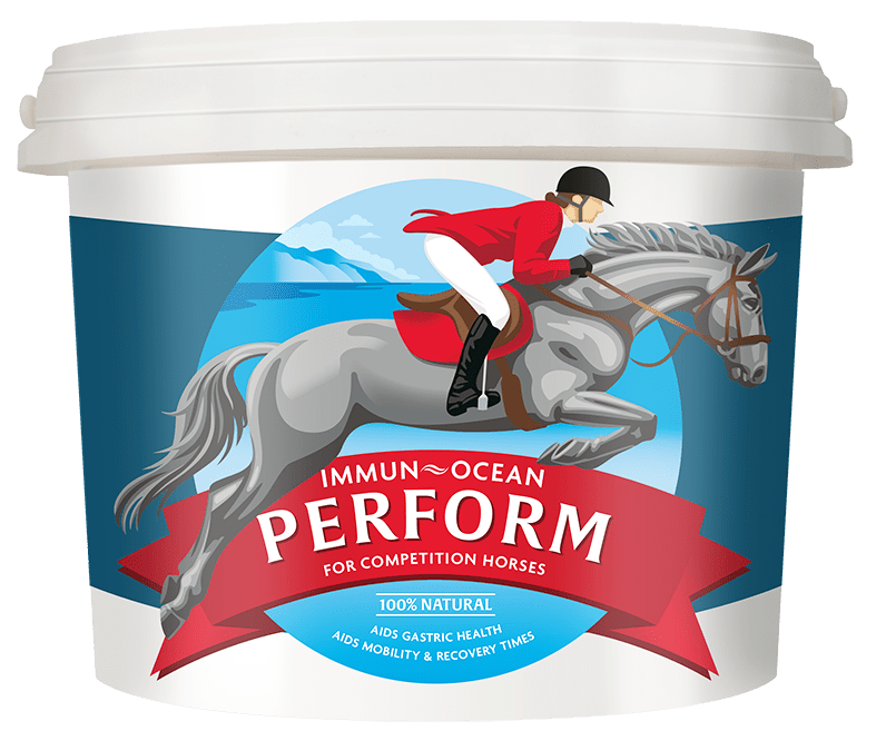 Immun-Ocean PERFORM Equine Supplement