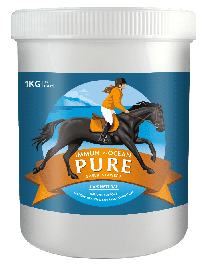 Immun-Ocean PURE Equine Supplement
