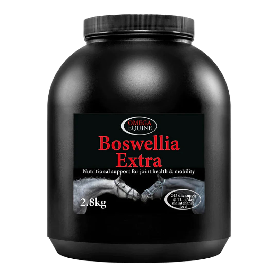 Boswellia Extra