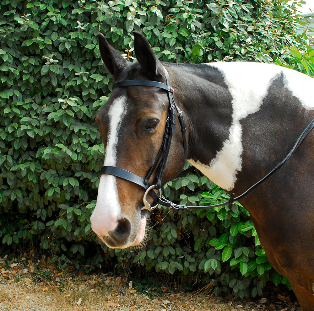 Windsor Leather Hunter Bridle