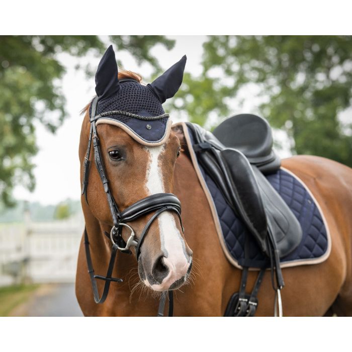 QHP Ear Net Summer focus- NAVY