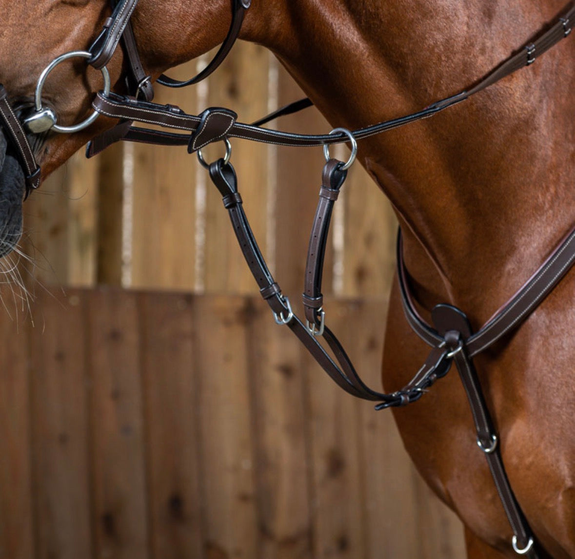 Running Martingale Attachment, Working by Dy’on