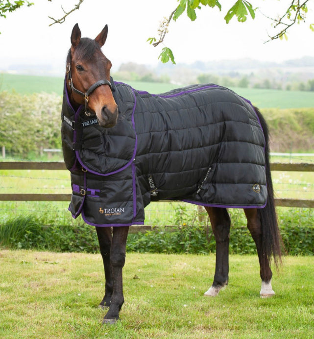 Trojan Dual 200 Stable Rug & Neck Set