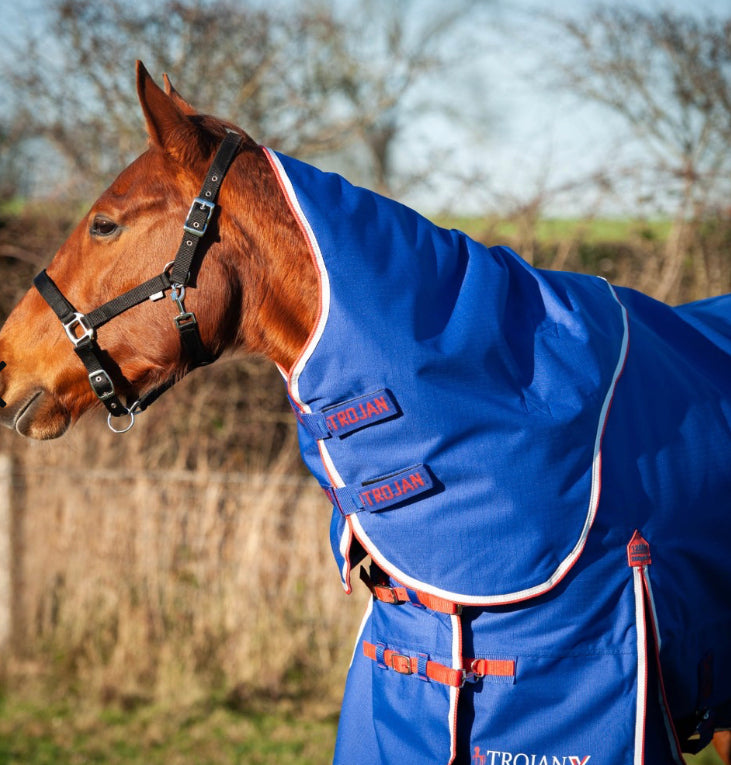 Trojan Xtra Dual Turnout Rug & Neck Set