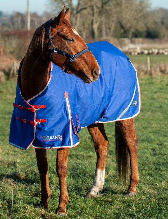 Trojan Xtra Dual Turnout Rug & Neck Set