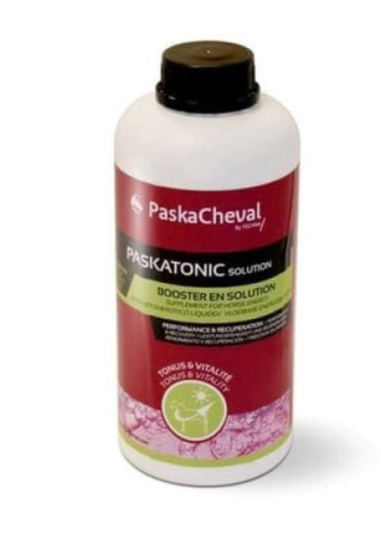 PASKACHEVAL PASKATONIC 1Ltr