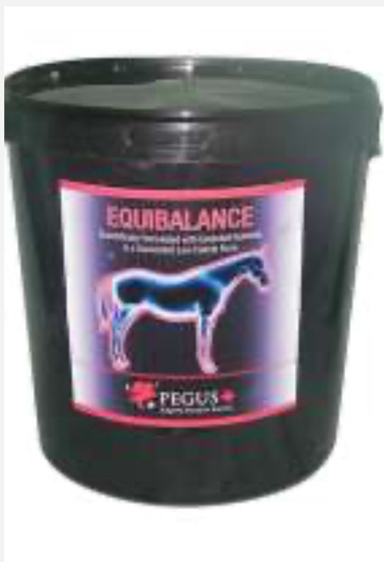 Equi-Balance 12kg bucket