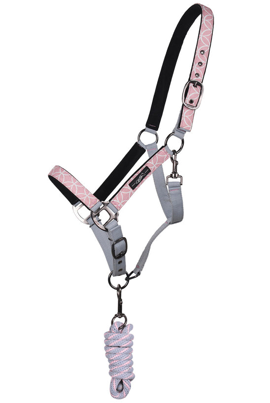 QHP Halter & lead rope - Primrose