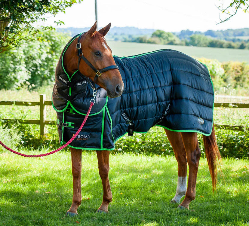 Trojan Dual 300 Stable Rug & Neck Set