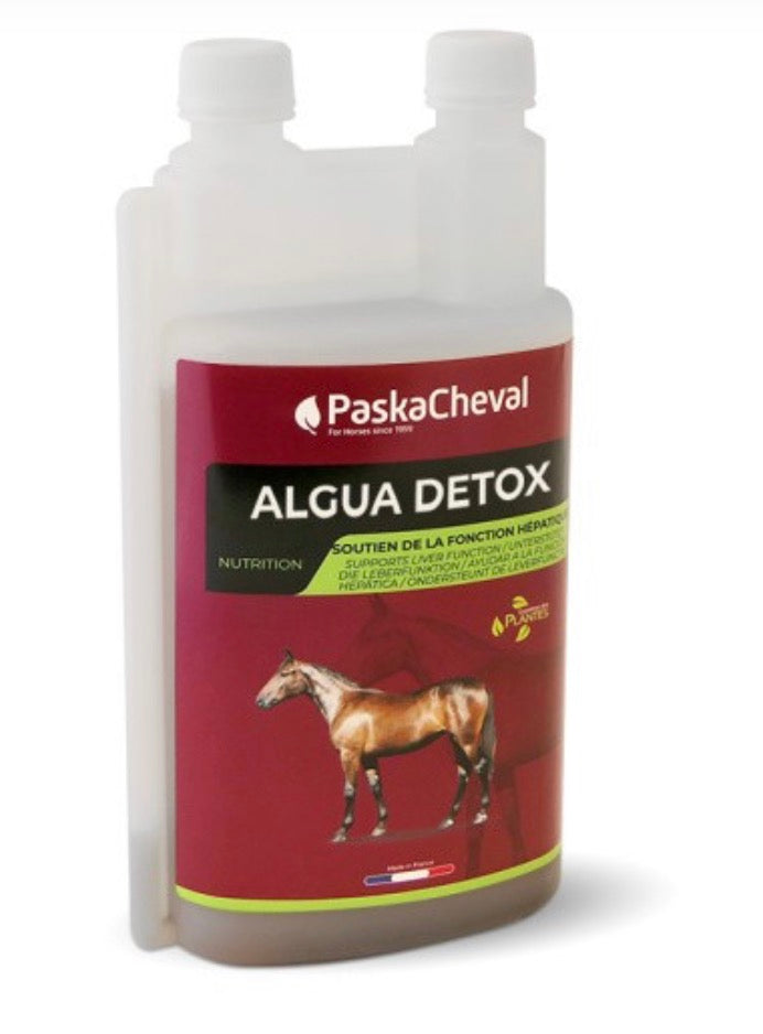 PaskaCheval Algua Detox