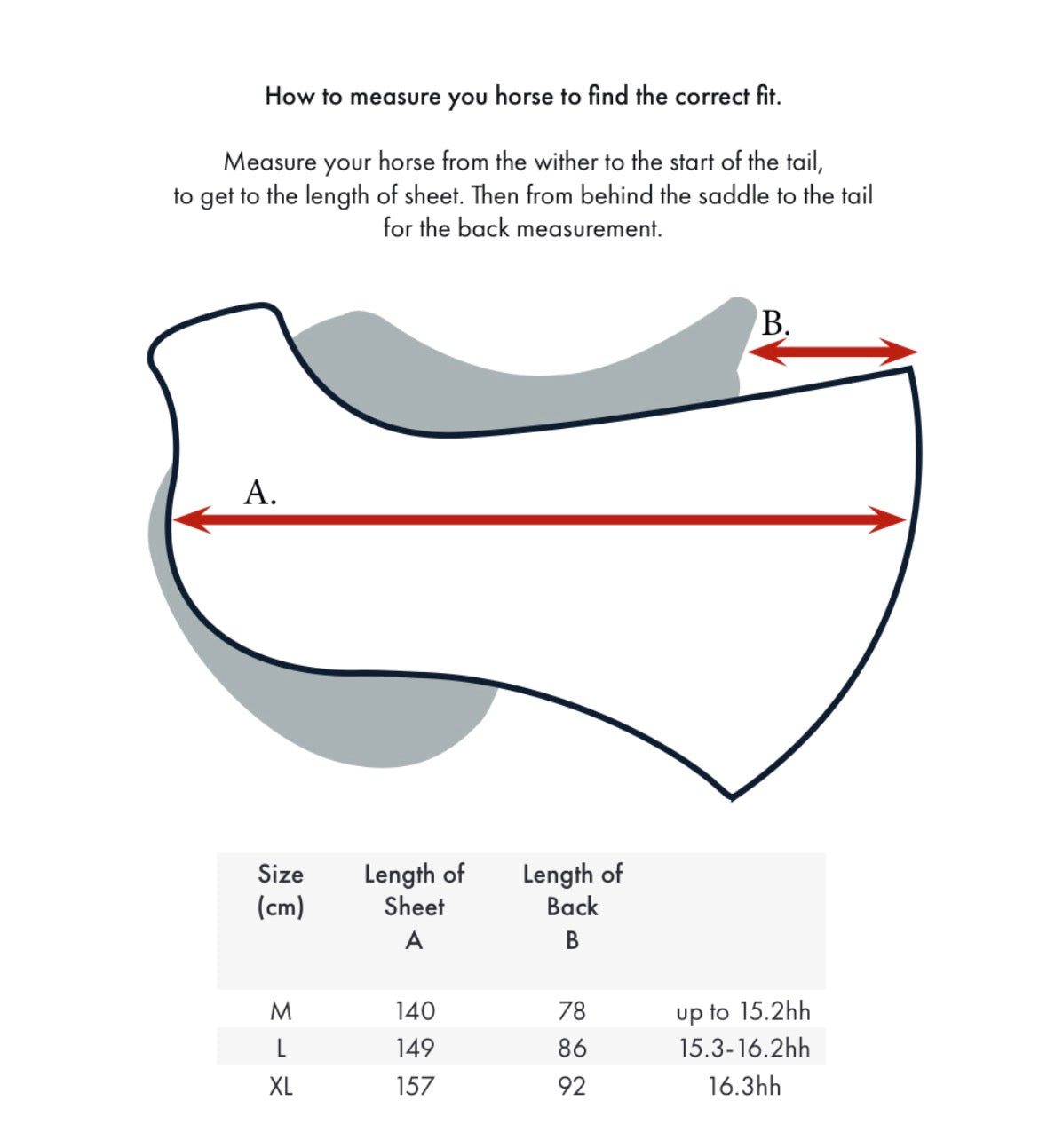 Premier Equine Exercise Sheet