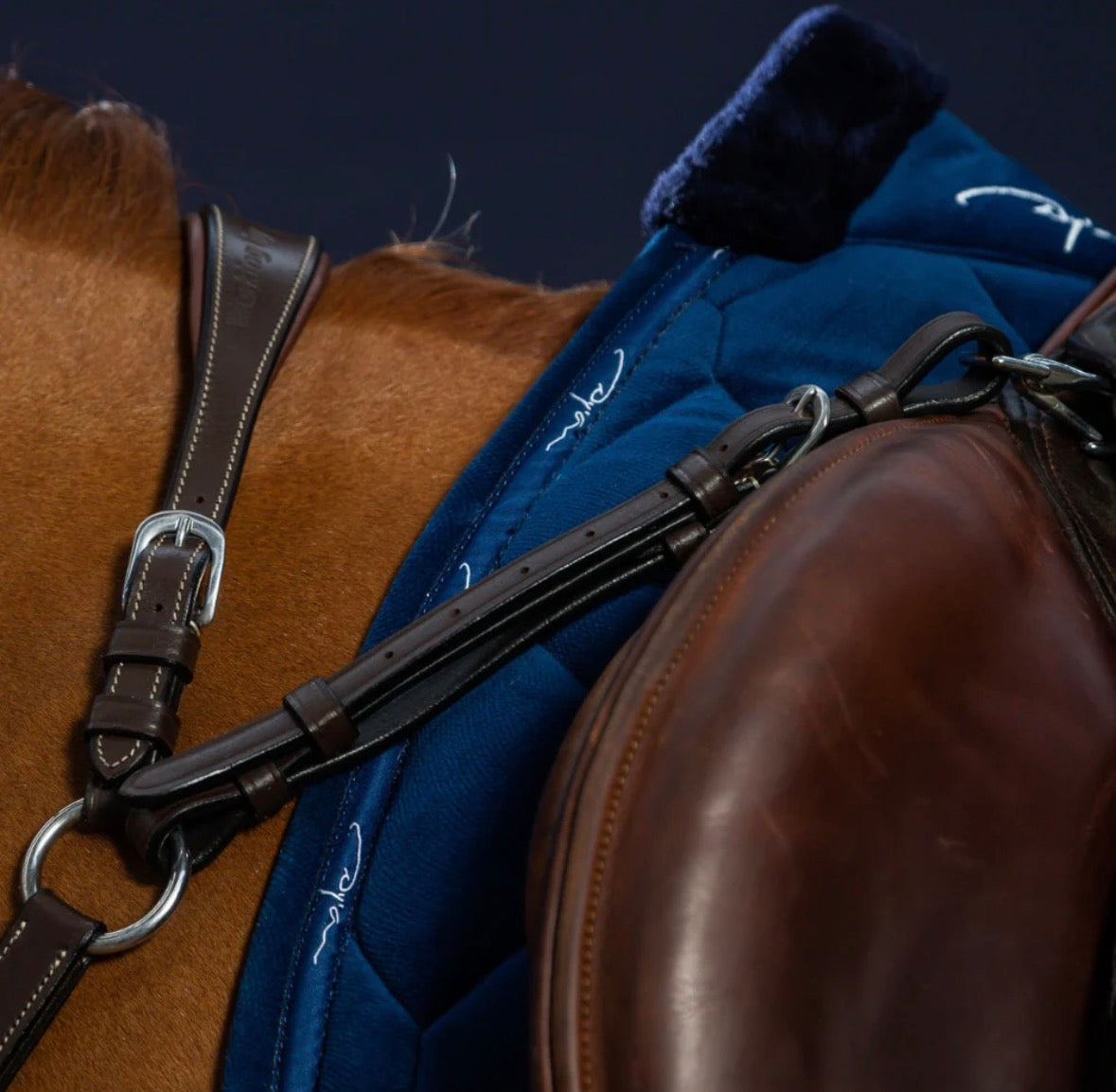 Bridge Breastplate - Working by Dy’on