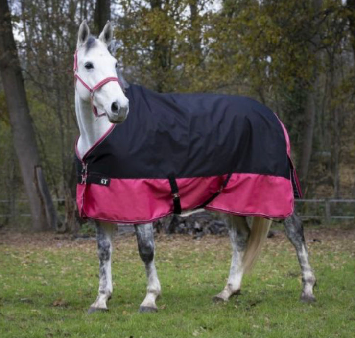 Equi-theme Tyrex Outdoor Rug