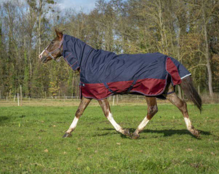 Equi-Thème Tyrex 1200D 350G Combo Neck Turnout Rug - Navy/Burgundy