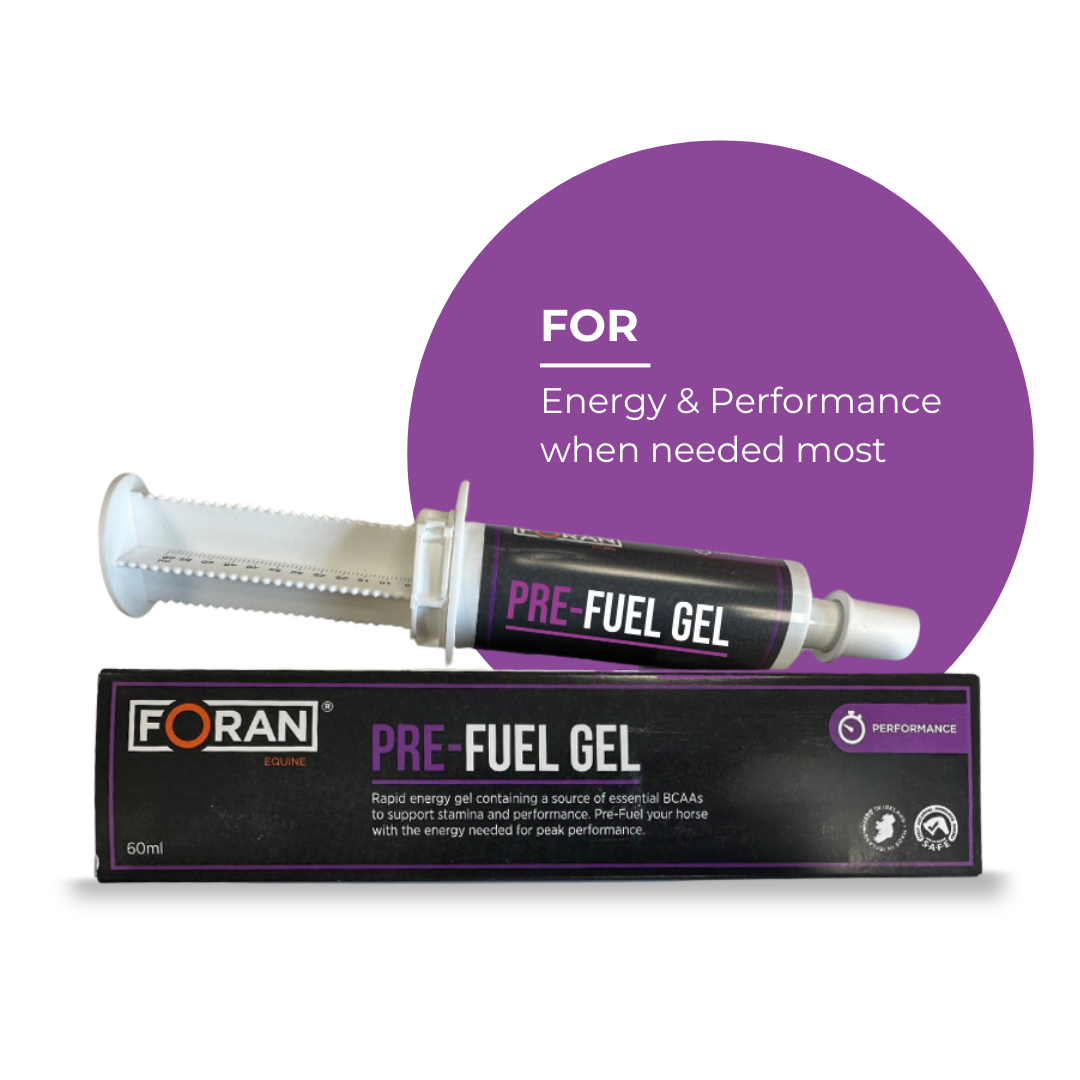 Pre-Fuel Gel