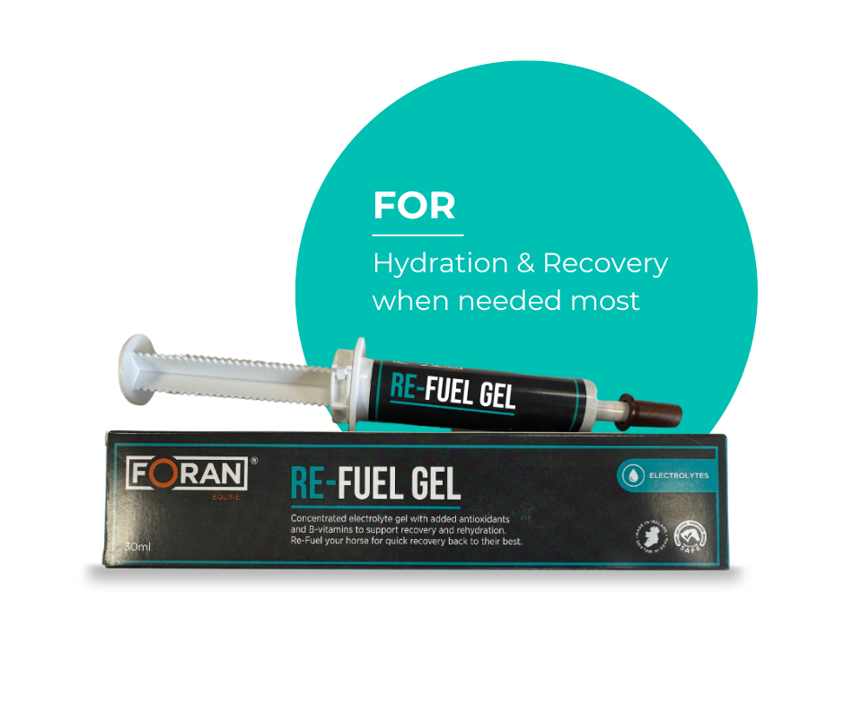 Re-Fuel Gel