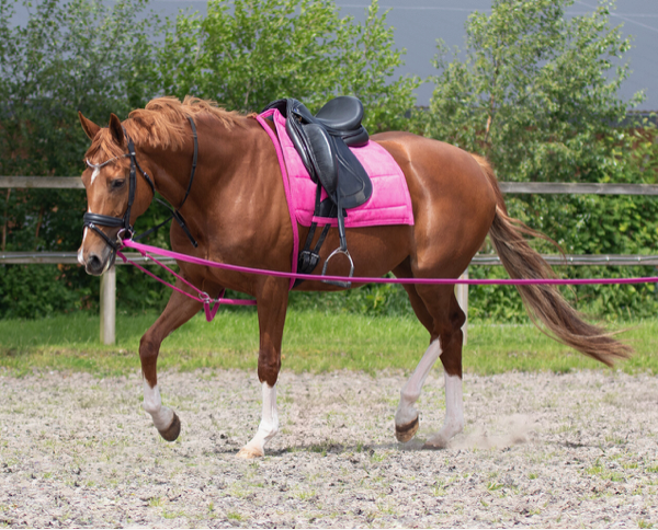 Lunging rope