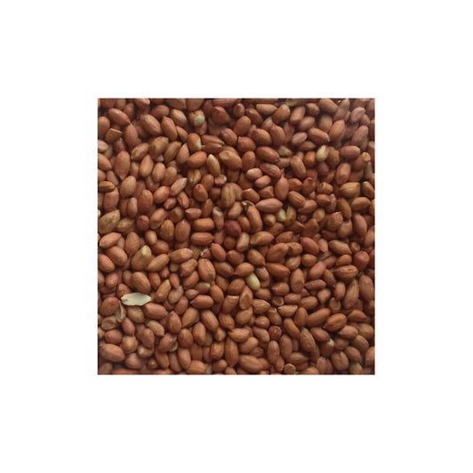Peanuts Premium Wild Bird