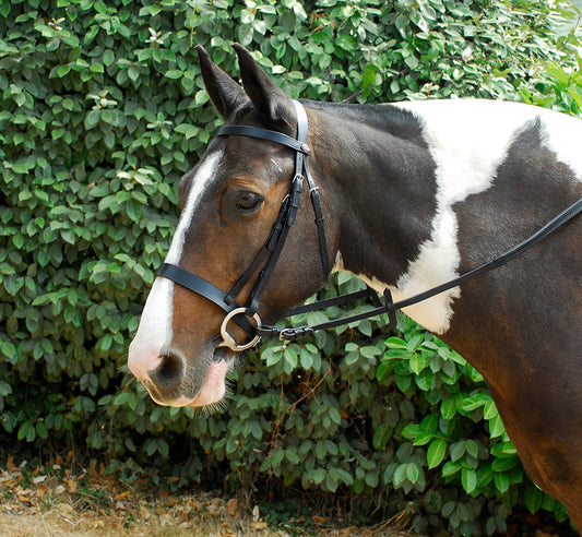 Windsor Leather Hunter Bridle