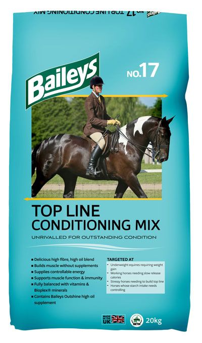 Baileys NO.17 TOP LINE CONDITIONING MIX