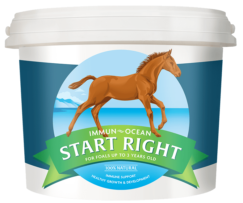 Horse supplements for young stock: Immun-Ocean START RIGHT Equine Supplement