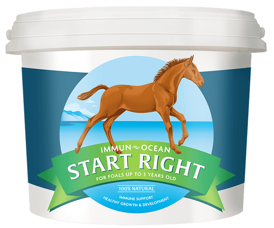 Horse supplements for young stock: Immun-Ocean START RIGHT Equine Supplement