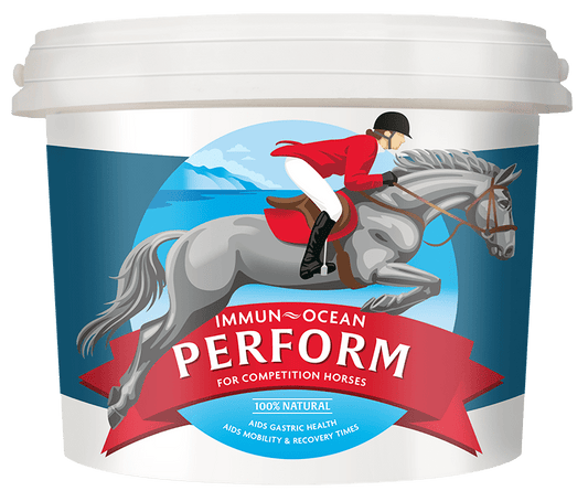 Immun-Ocean PERFORM Equine Supplement