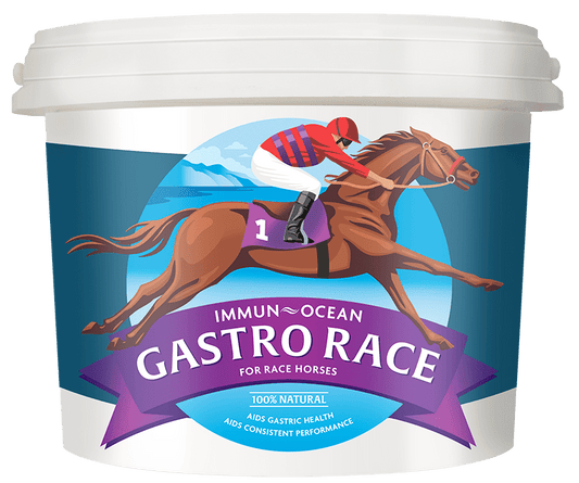 Immun-Ocean GASTRO RACE Equine Supplement
