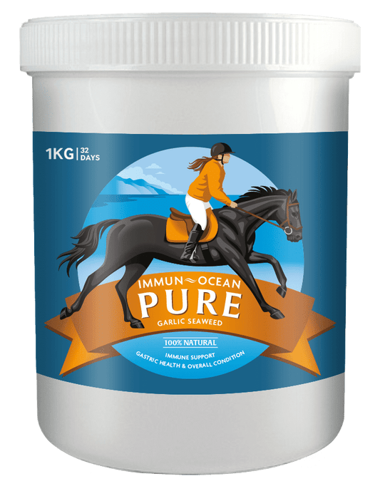 Immun-Ocean PURE Equine Supplement