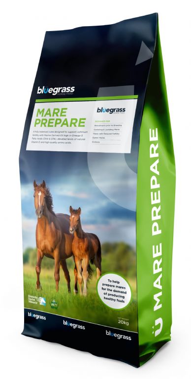 Bluegrass Mare Prepare