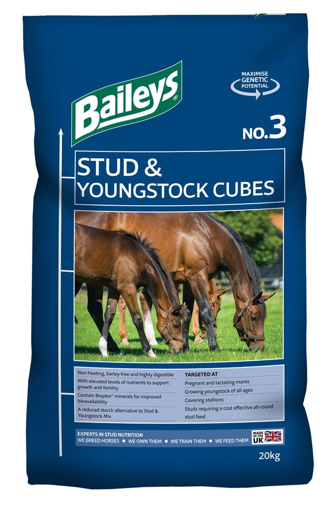 Baileys NO. 3 STUD & YOUNGSTOCK CUBES