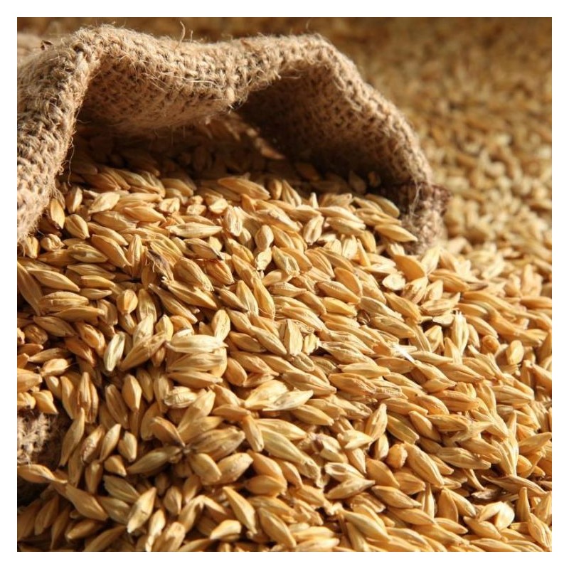 Barley - 20kg