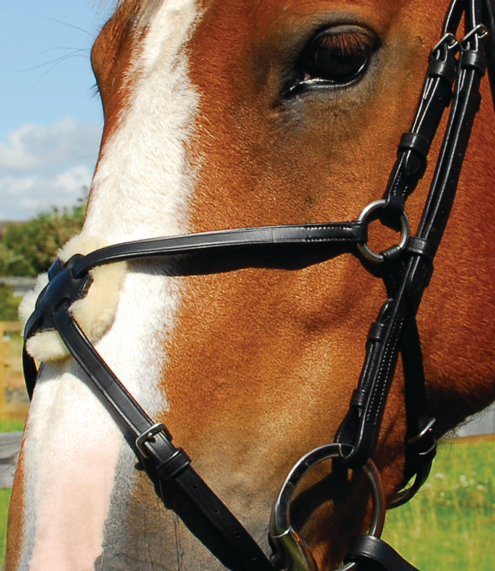 Heritage Saddlery English Leather Bridle With Mexican Noseband