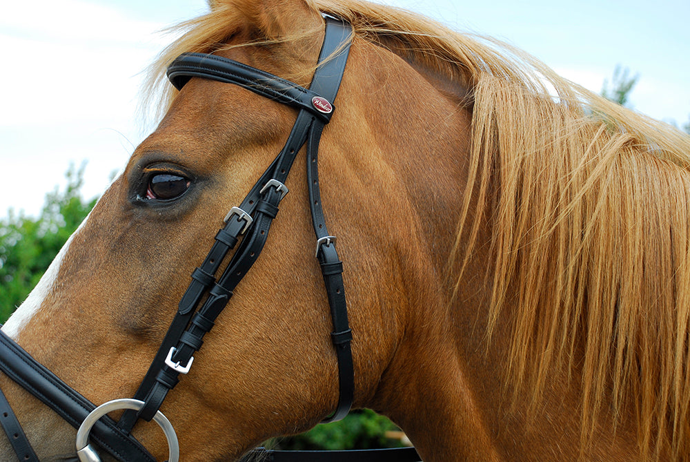 Windsor Leather Bridle With Flash Noseband