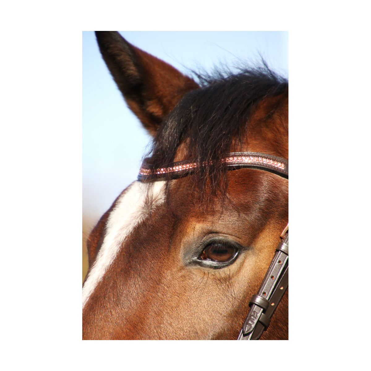 Hy Equestrian Rosciano Rose Gold Brow Band
