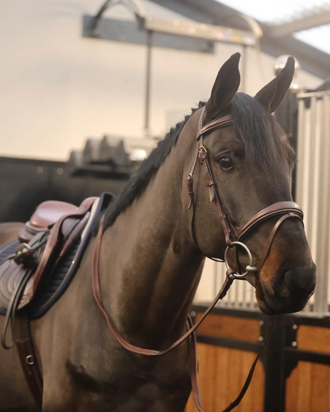 Tesoro Grazia Bridle with reins