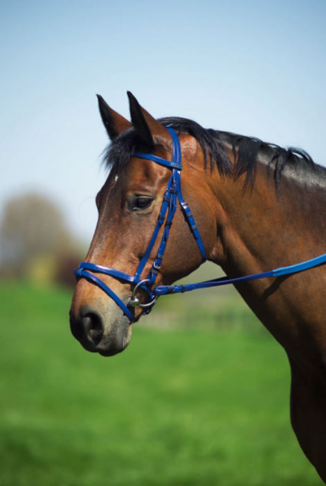 PVC Bridle