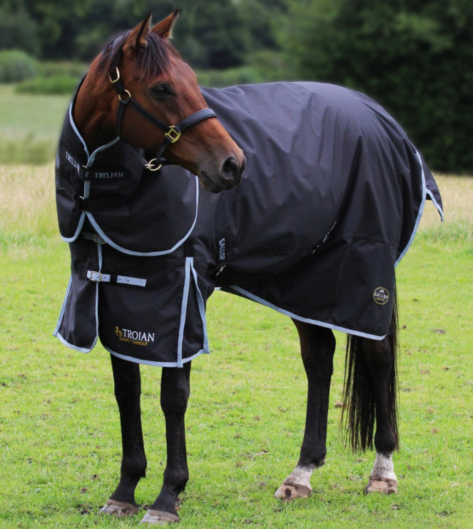 Trojan 300 Dual Turnout Rug & Neck Set