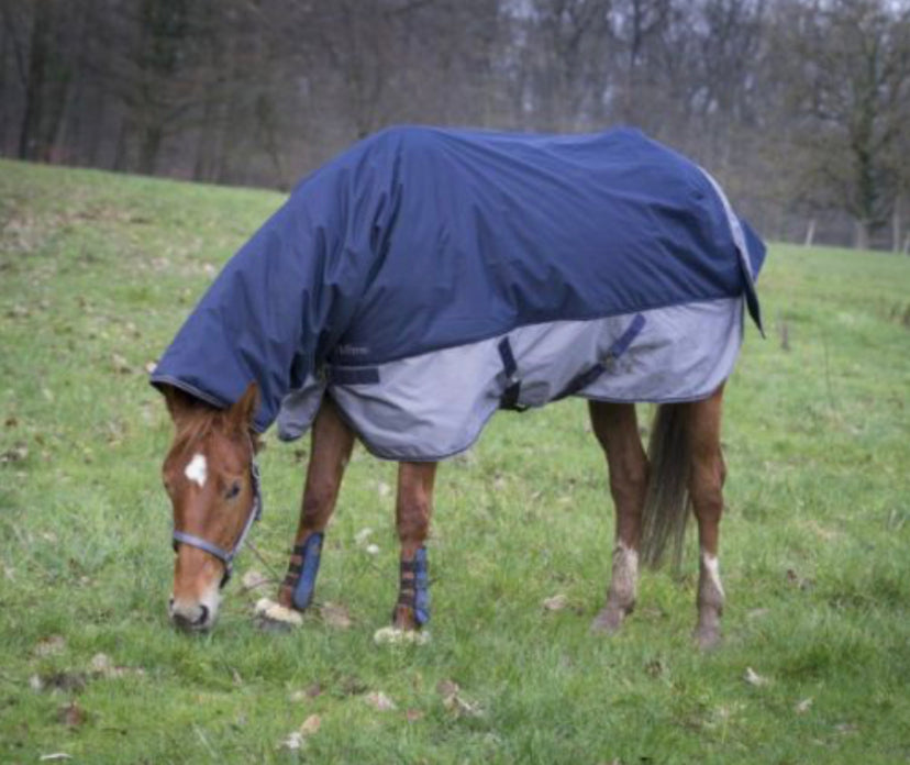 Equi-Thème Tyrex 600D 200G Combo Neck Turnout Rug - Navy/Grey