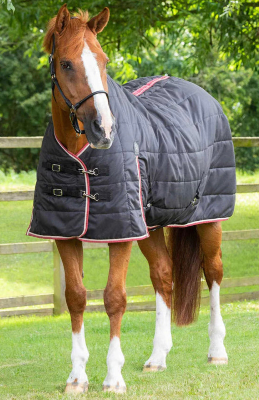 Stable Rug For Cobs Premier Equine Stable Rug-100g – MGM Equestrian