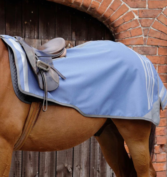 Premier Equine Exercise Sheet