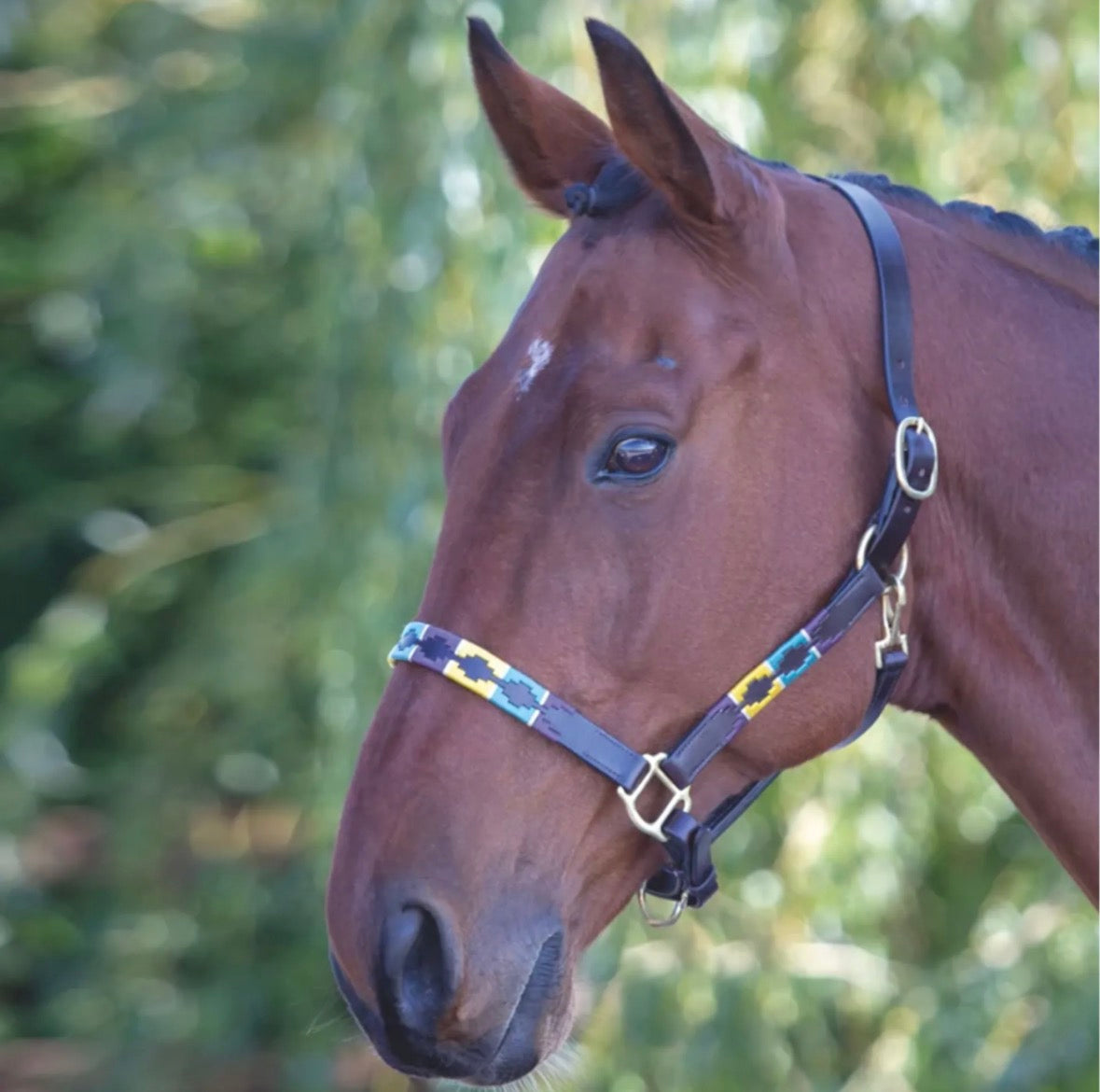 Velociti Gara Leather Polo Headcollar