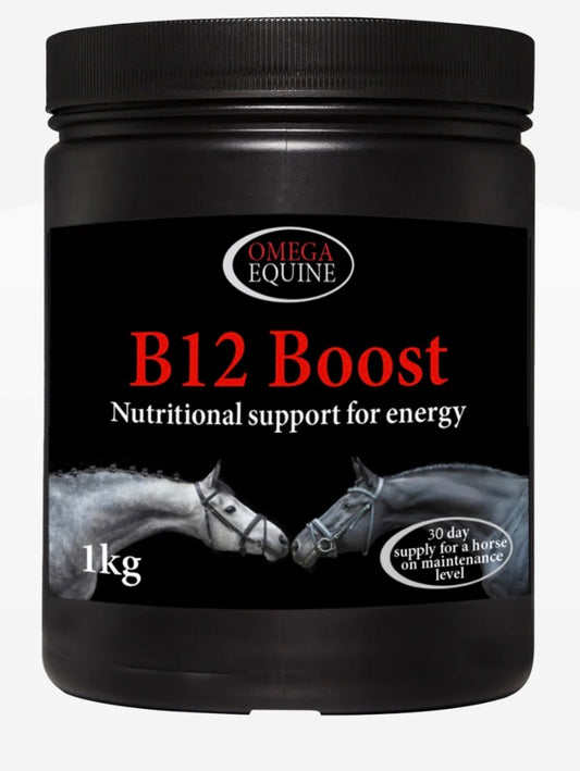 Omega B12 Boost