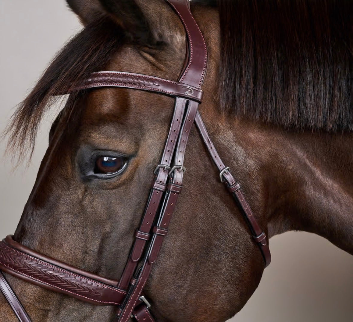 Dy’on Plaited Flash Noseband Bridle NE