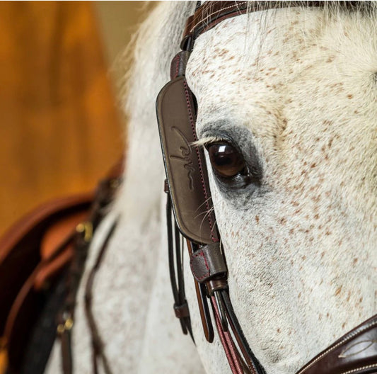 Dy’on Blinkers
