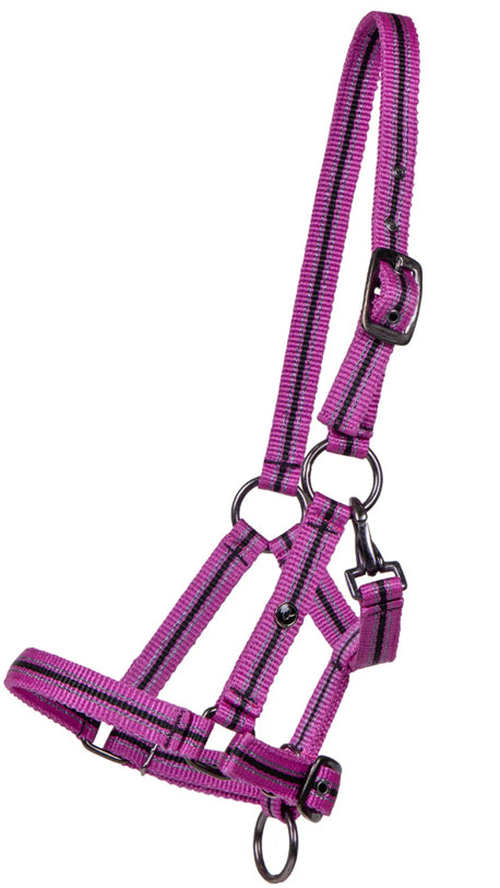 QHP Foal Headcollar